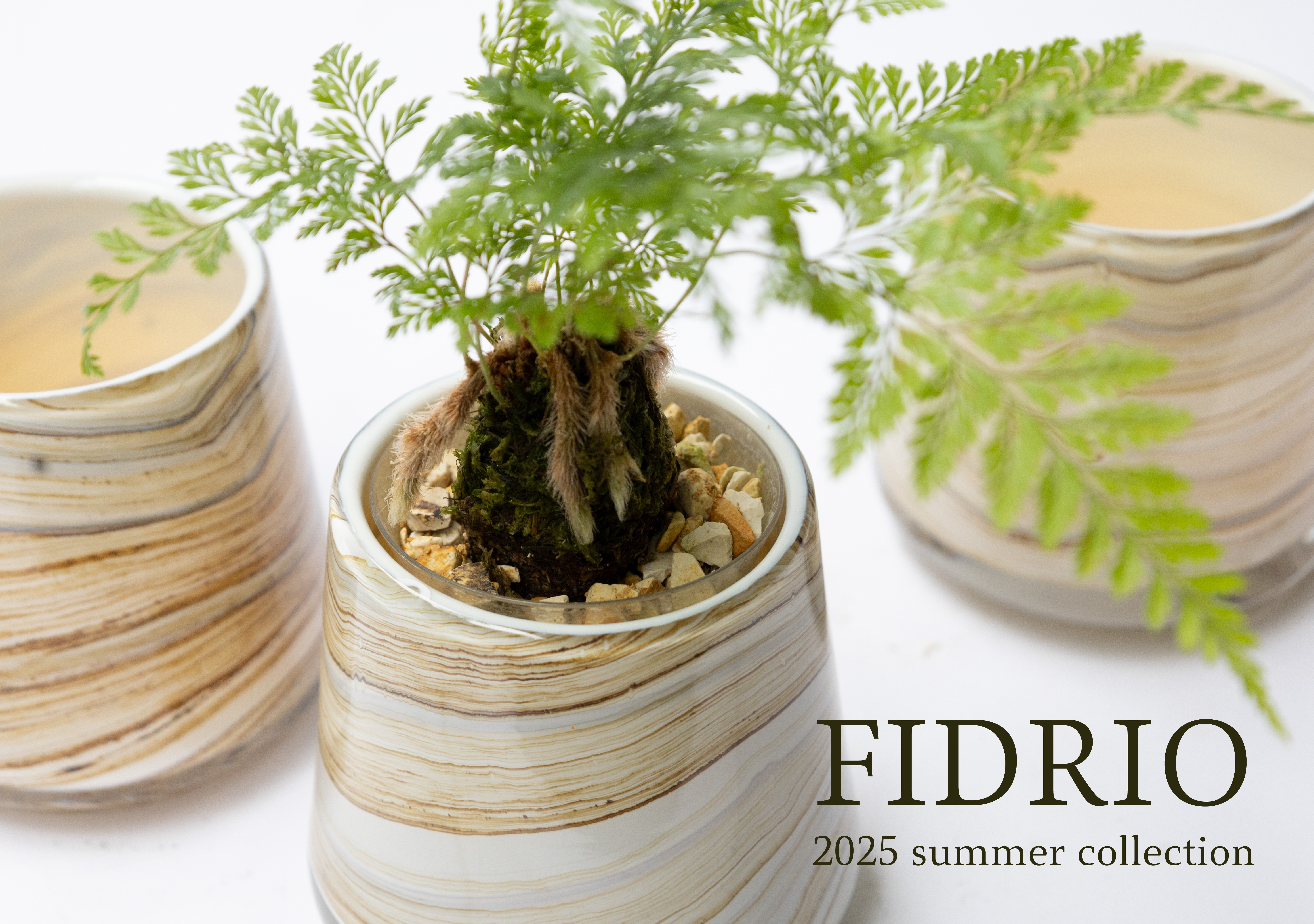 FIDRIO 2025SUMMER