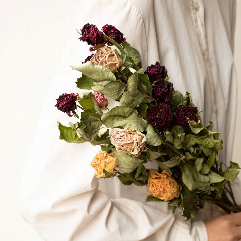 バラミックス Flore21 Shop ドライフラワー 花瓶 Fidrioの通販