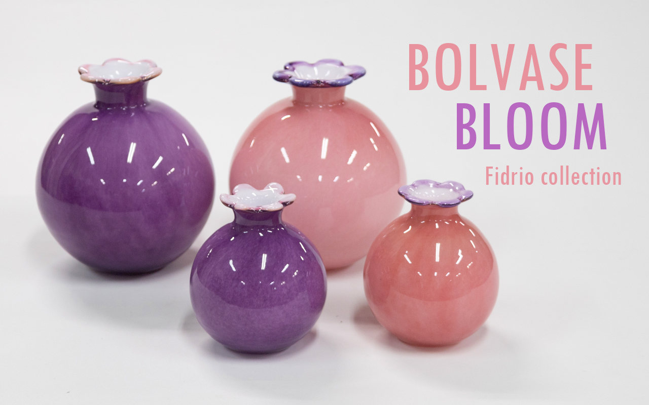 Bolvase Bloom