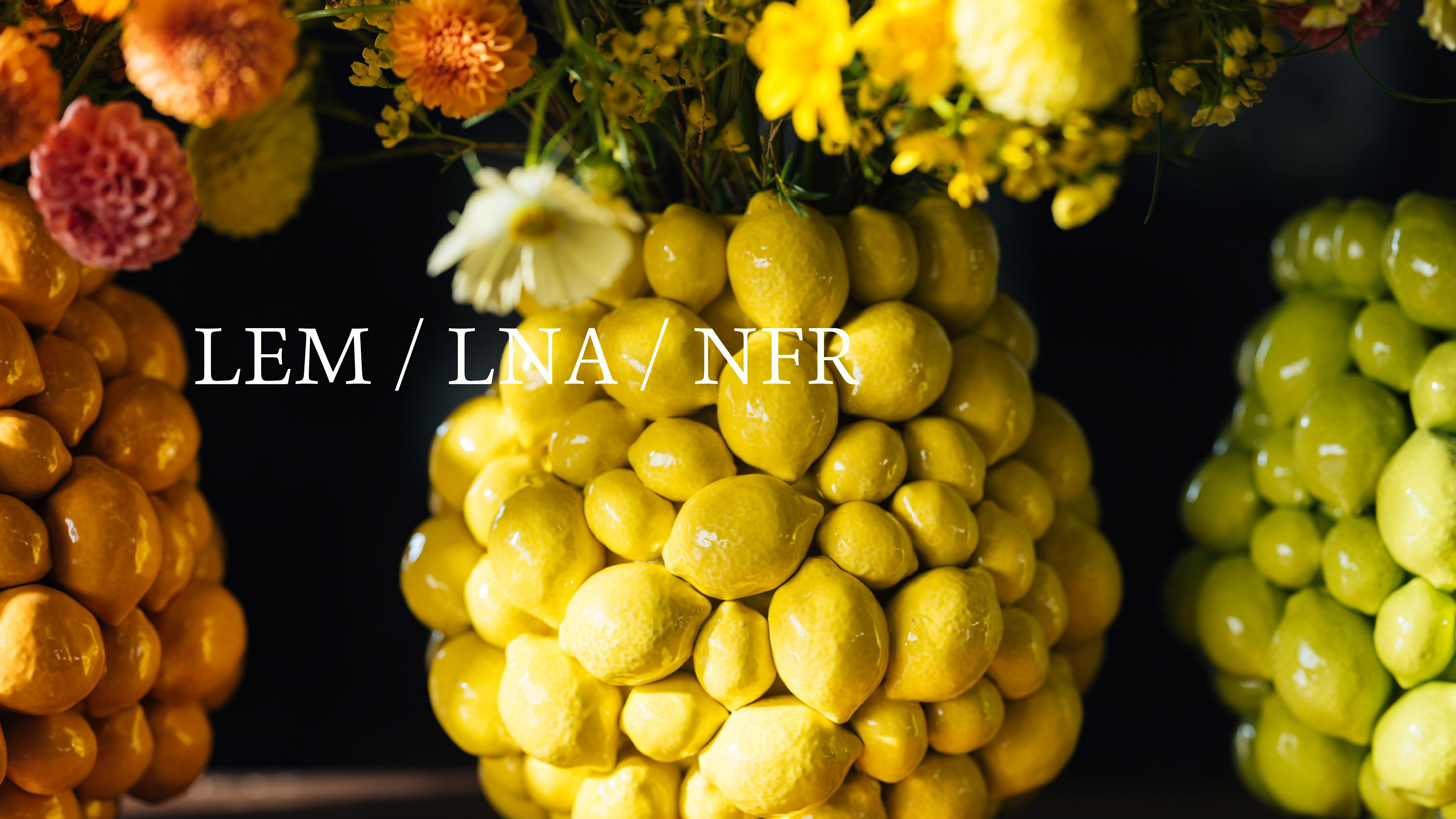 LEM / LNA / NFR