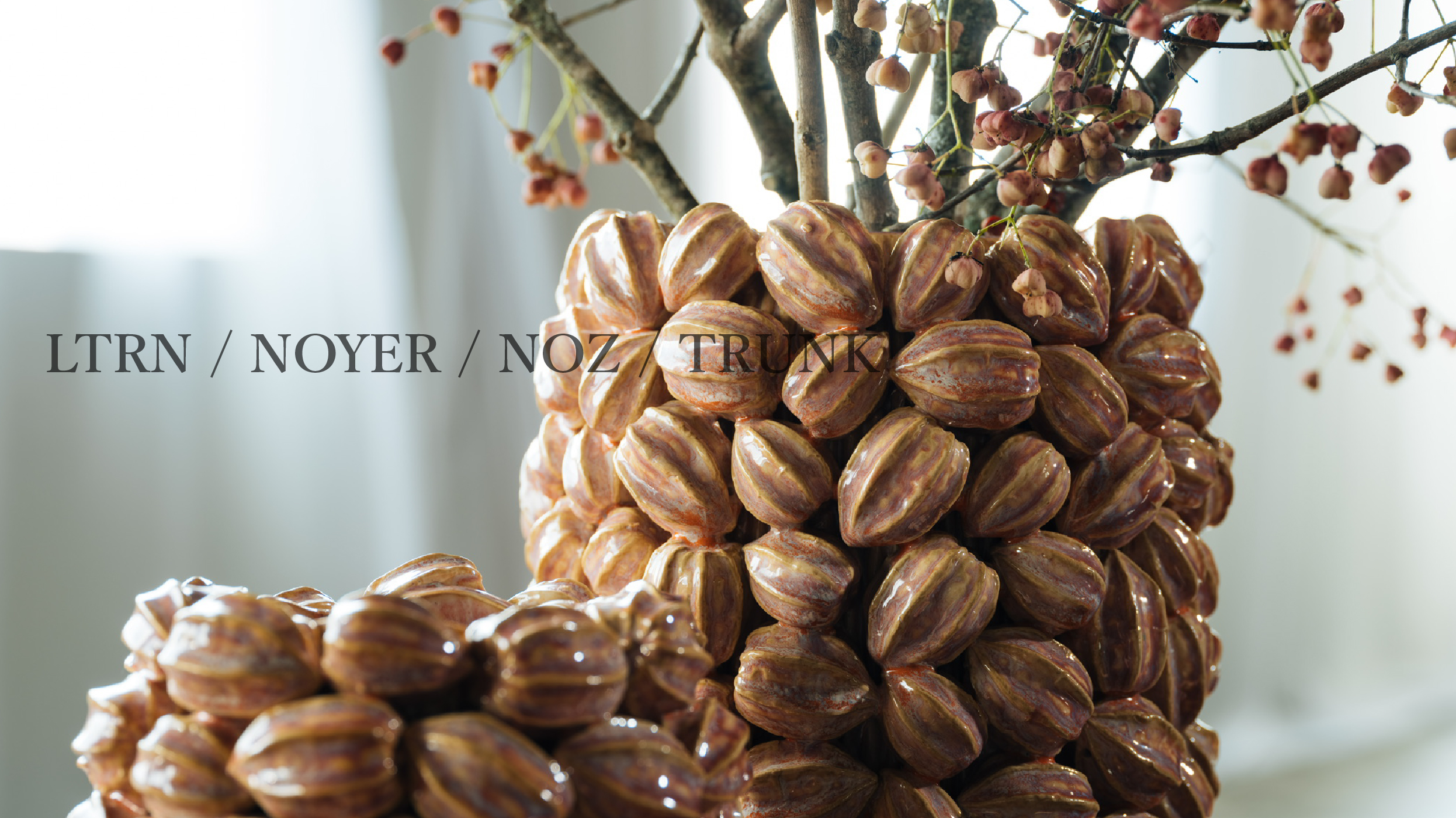 LTRN / NOYER / NOZ / TRUNK|DESPOTS|FLORE21@shop | FLORE21