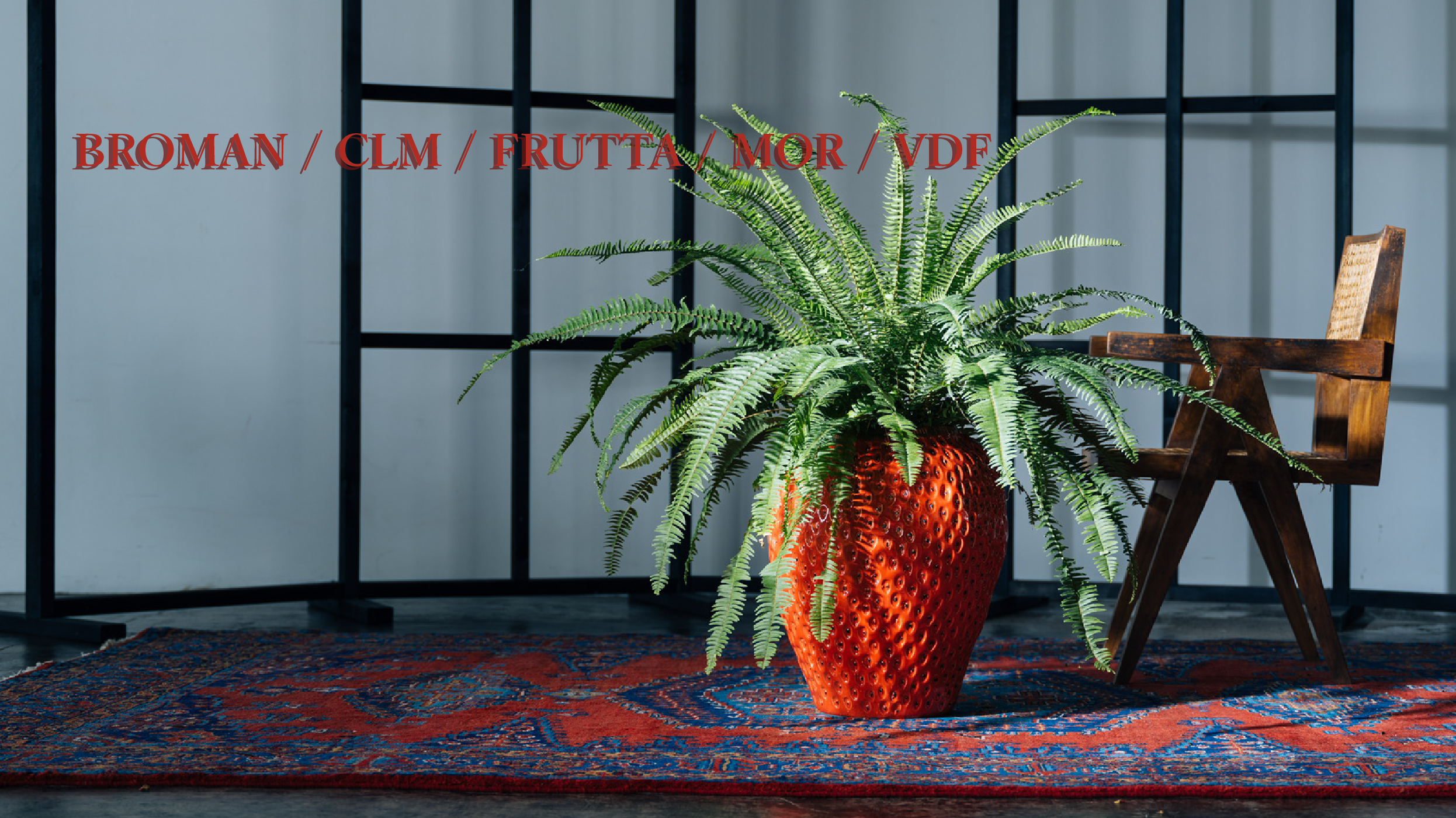 BROMAN / CLM / FRUTTA / MOR / VDF|DESPOTS|FLORE21@shop | FLORE21