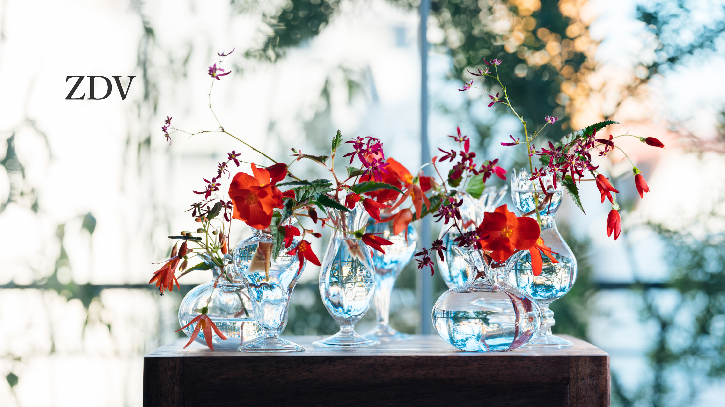 ZDV|DESPOTS|FLORE21@shop | FLORE21@shop｜花器・鉢物・ドライ